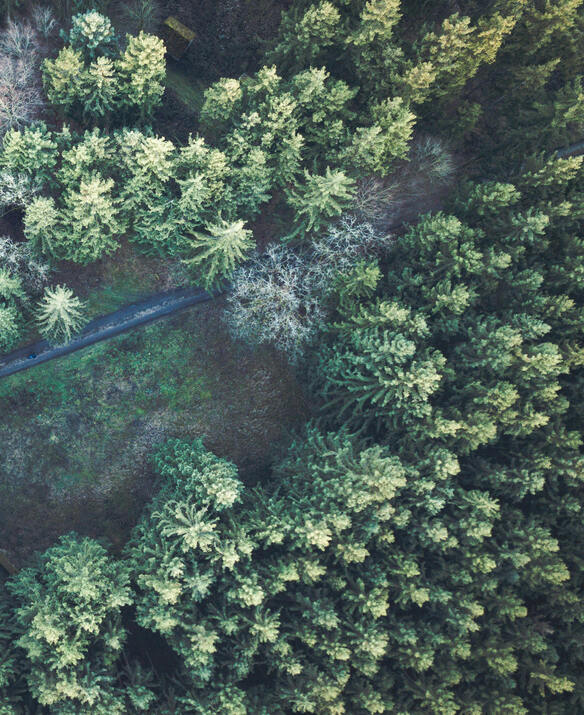 Wasser / Abwasser, Wald, Forst, Jagd, Friedhof und Rechtsschutz